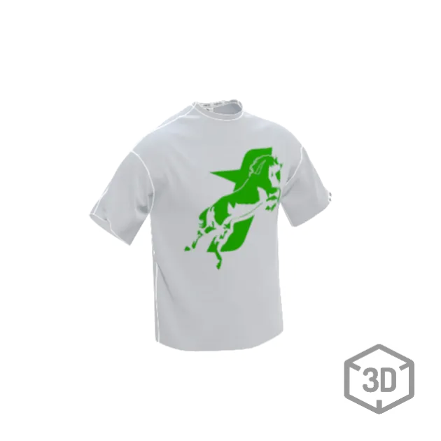 SAVANA® TAYCANv1 BEYAZ BOXY TSHIRT - YESIL LOGOLU